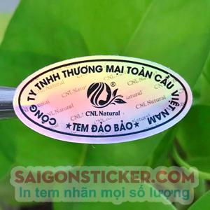 TEM ĐẢO BẢO