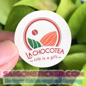 LACHOCOTEA